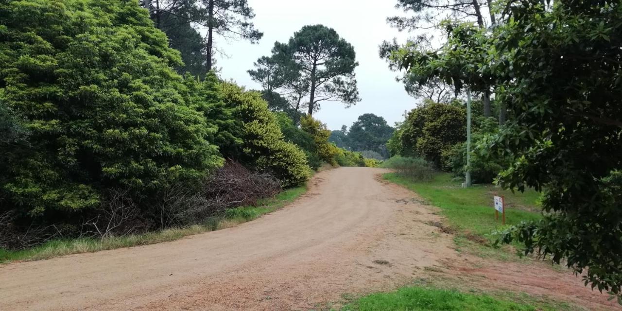Las Chozas Punta del Este Cameră foto